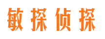 镇康市侦探公司